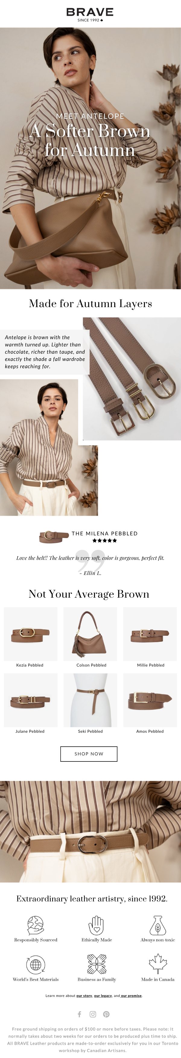 BRAVE Leather email