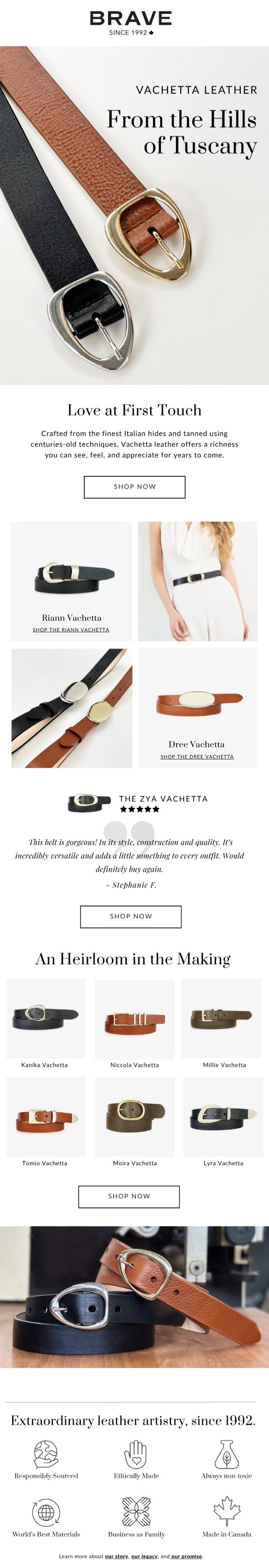 BRAVE Leather email